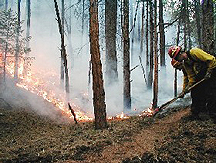 Schoonover Fire, CO, June 2002 - Photo:Justin Domeroski/FEMA