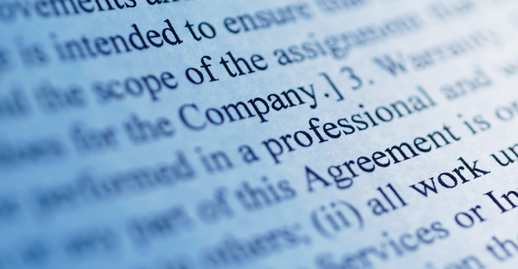 Close-up of words on a page with words company, professional, agreement, work in focus and other words out of focus