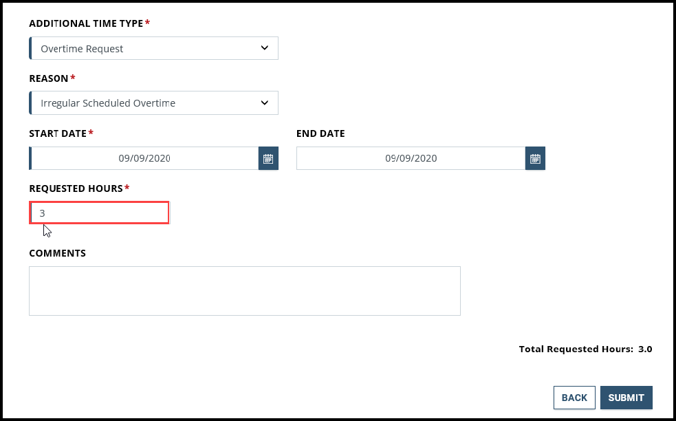 Screenshot of Additional Time page with Requested Hours field selected
