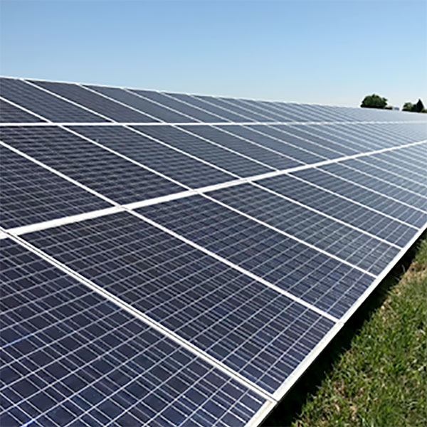 Field of solar panels next to green grass