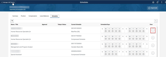 Timesheet entry showing schedules tab with view icon highlighted