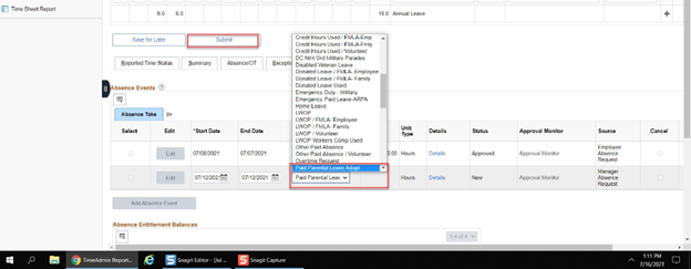 Timesheet entry with paid parental leave selected from the dropdown menu and the submit button highlighted