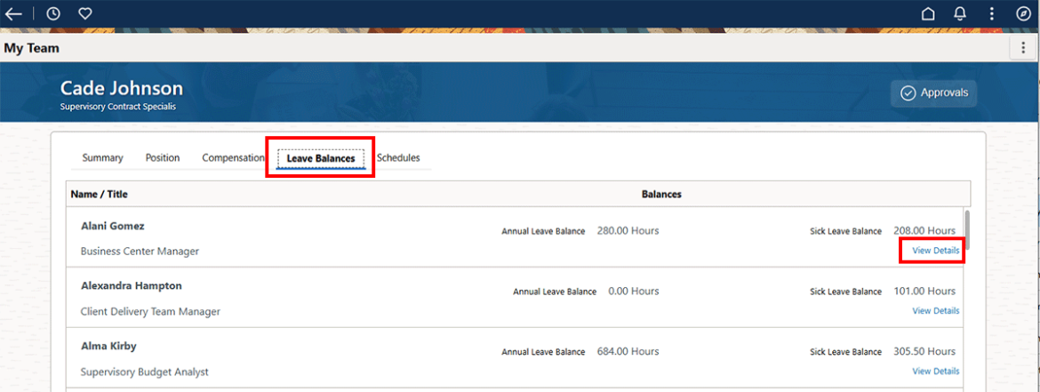  Screenshot showing Leave Balances tab with the View Details link highlighted.