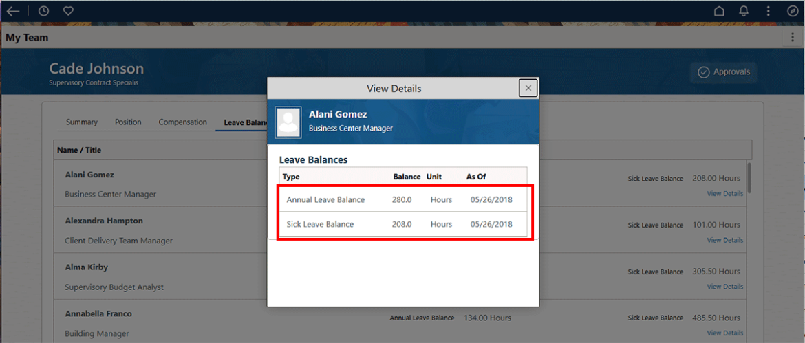  Screenshot showing the View Details popup with the Annual and sick leave balances highlighted in red.