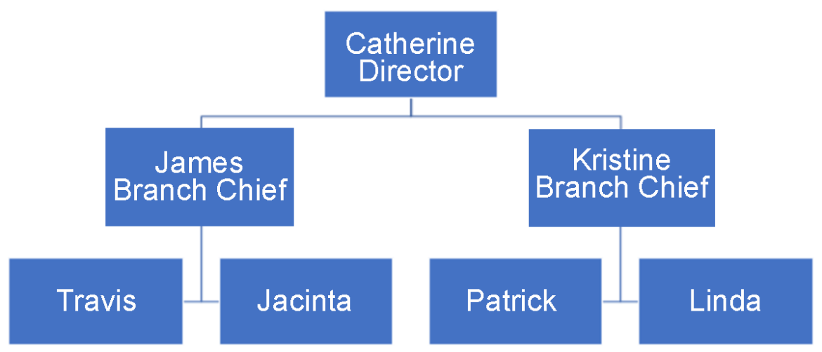  Fake org chart with one director, two branch chiefs and 4 employees.