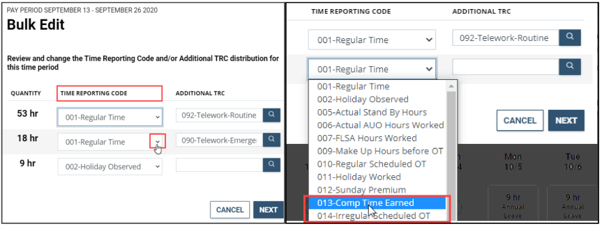 employee timesheet bulk edit