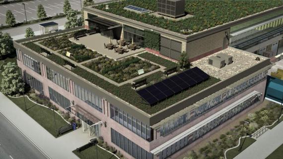 Rendering of a planted roof on an office building, including solar panels, gravel, and vegetation of multiple heights.