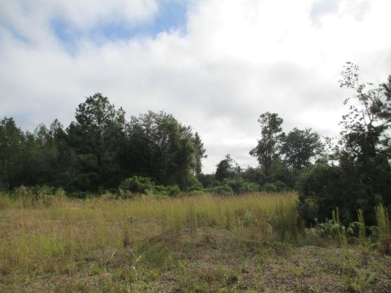 Lot of land sale in Gainesville, FL