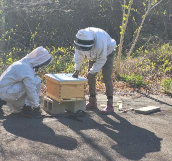 two people bending over a beehive