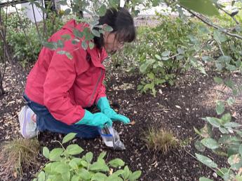 a woman kneeling in the garden