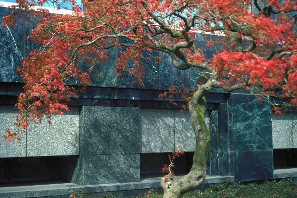 Photo of Portland BPA building