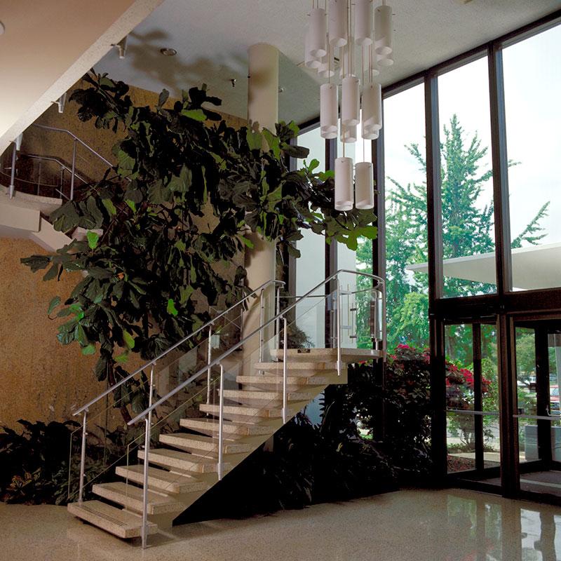 Entrance building interior with glass-front panels, stone floor and stairs, large potted plant, and ceiling tubular light fixture