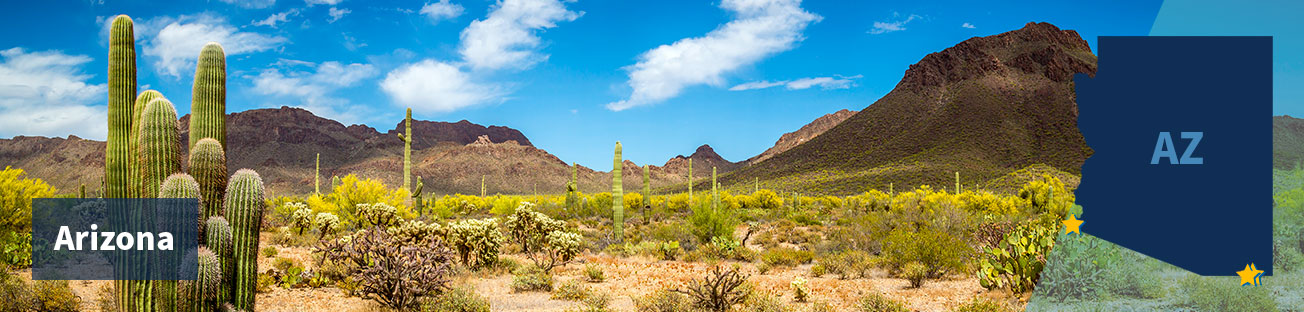 Field of suguaro cacti and scrubby bushes and low red hills in the background and a blue sky with white clouds, and the title Arizona at left and the state shape with a three gold stars at the south border