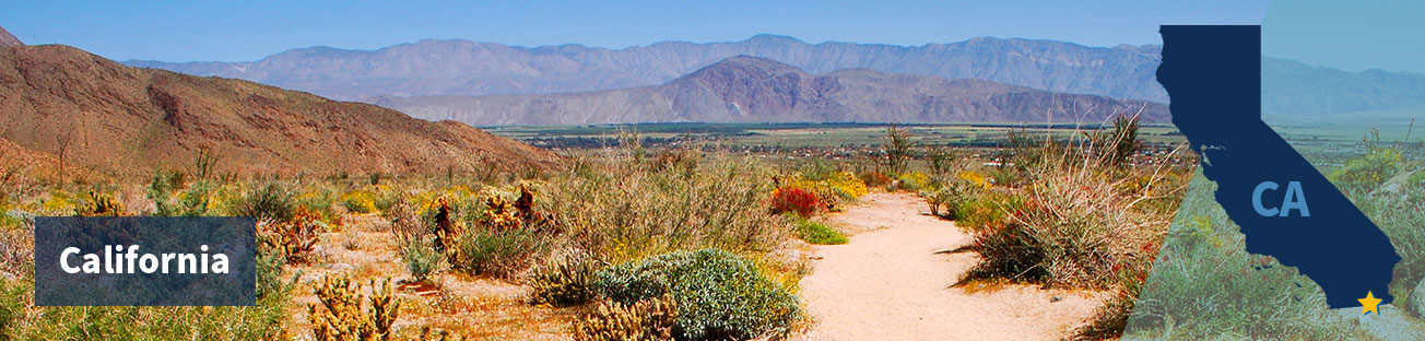 Field of scrubby bushes and desert flowers and low hills in the background and a blue sky, and the title California at left and at right the state shape with a gold star in the lower right