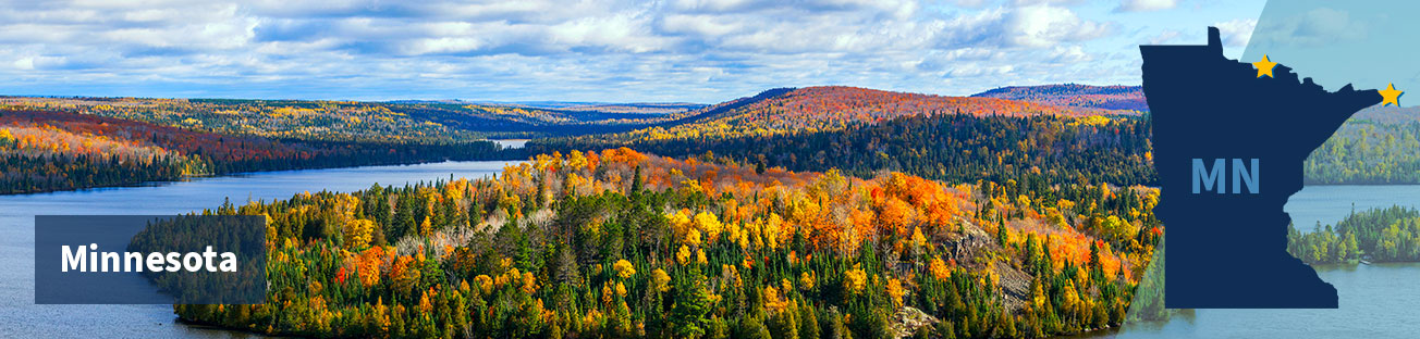 A forest and low hills of red and gold autumn trees and green pine trees as far as the eye can see