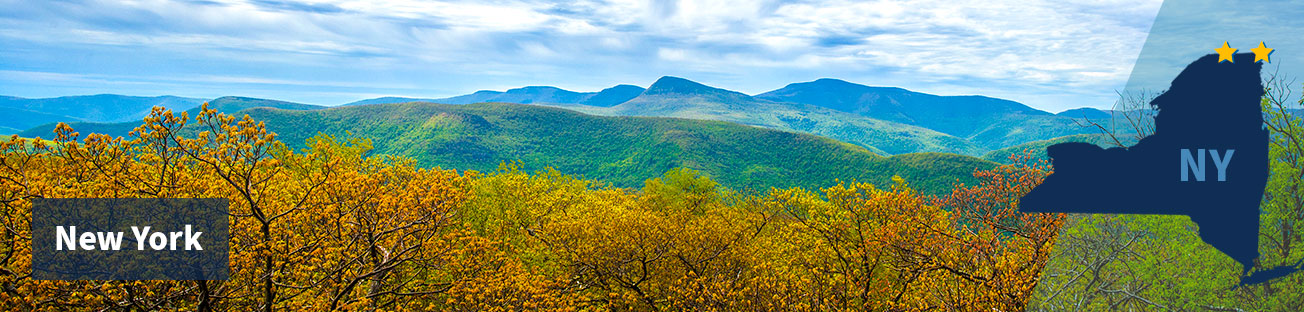 Gold autumn trees in the foreground, then a green hill behind that, then a blue mountain in the background, with a blue cloudy sky, and the title New York at left and at right the state shape with two gold stars along the north border